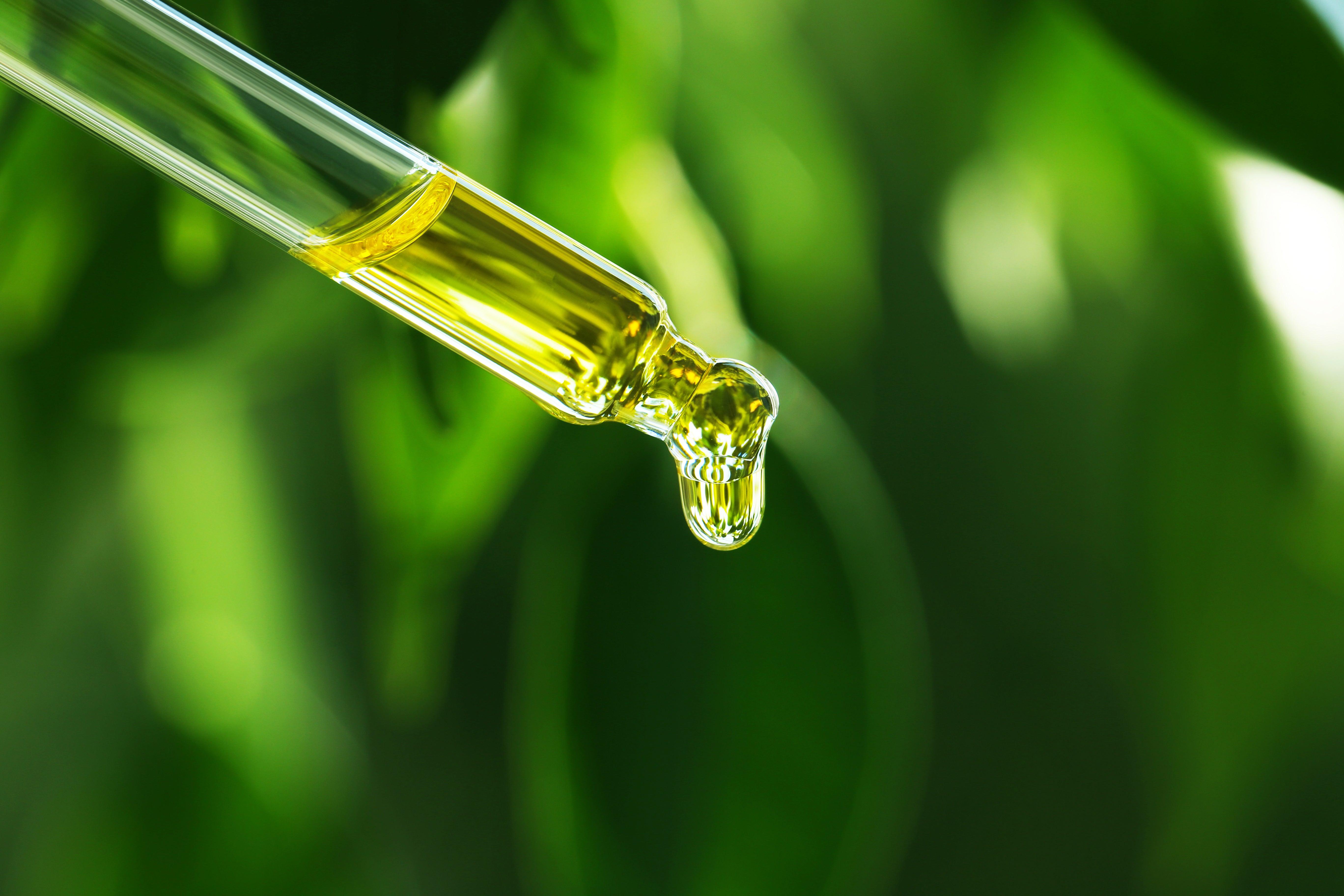 Bezpieczne rozcieńczanie: Przewodnik po dopuszczalnych stężeniach olejków eterycznych  w aromaterapii.