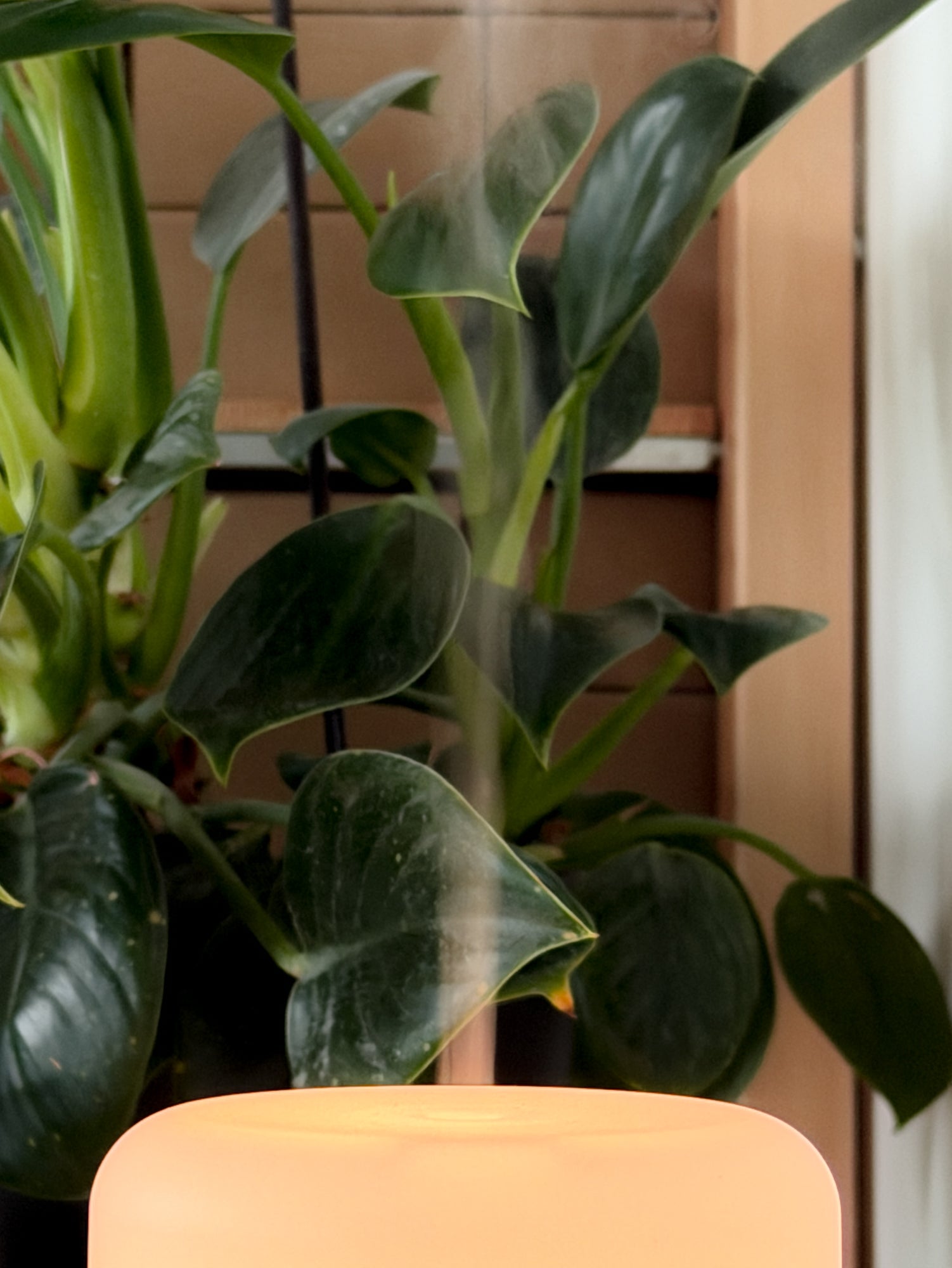 dyfuzor ultradźwiękowy UMI do aromaterapii
